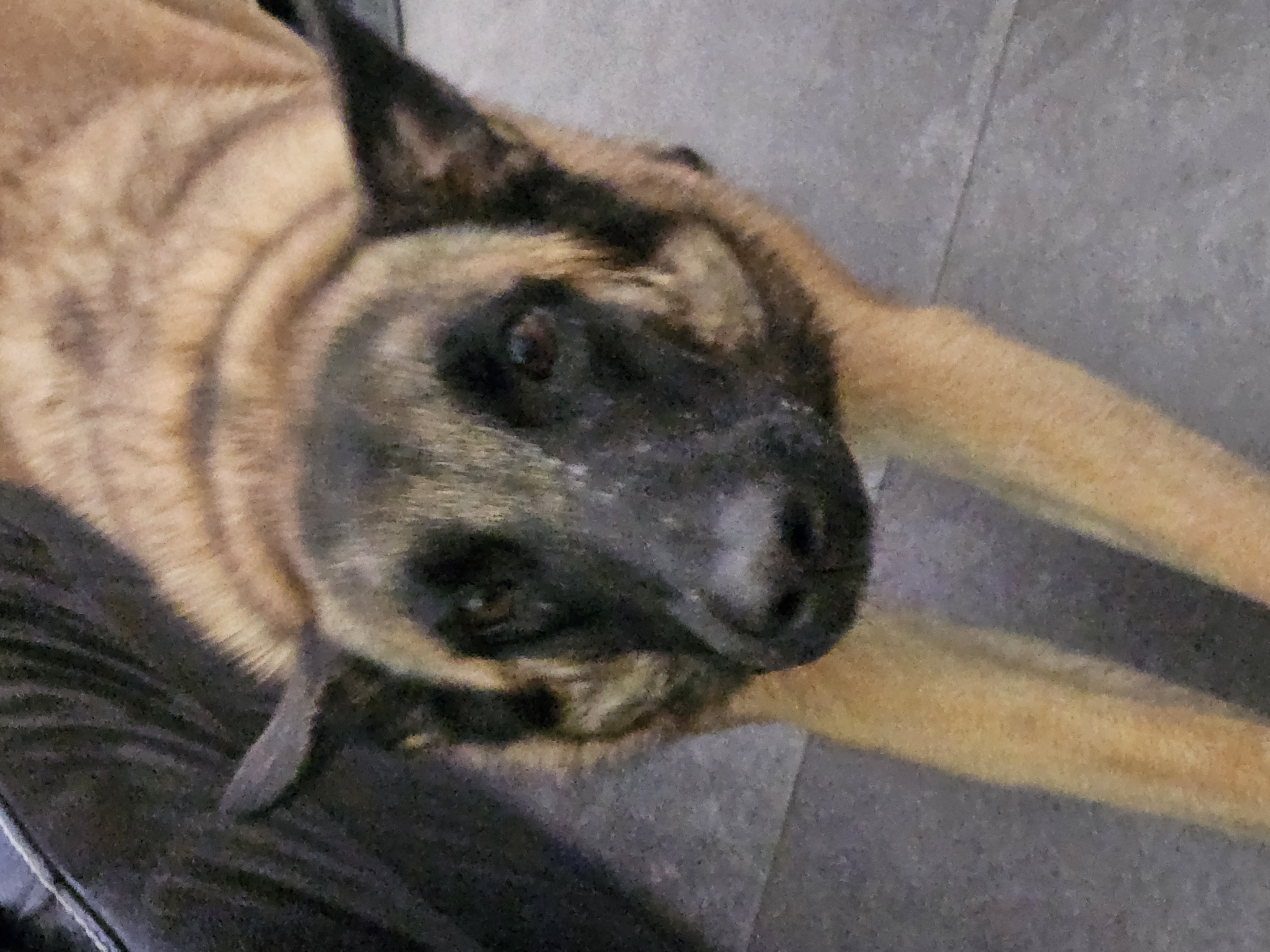 Athena