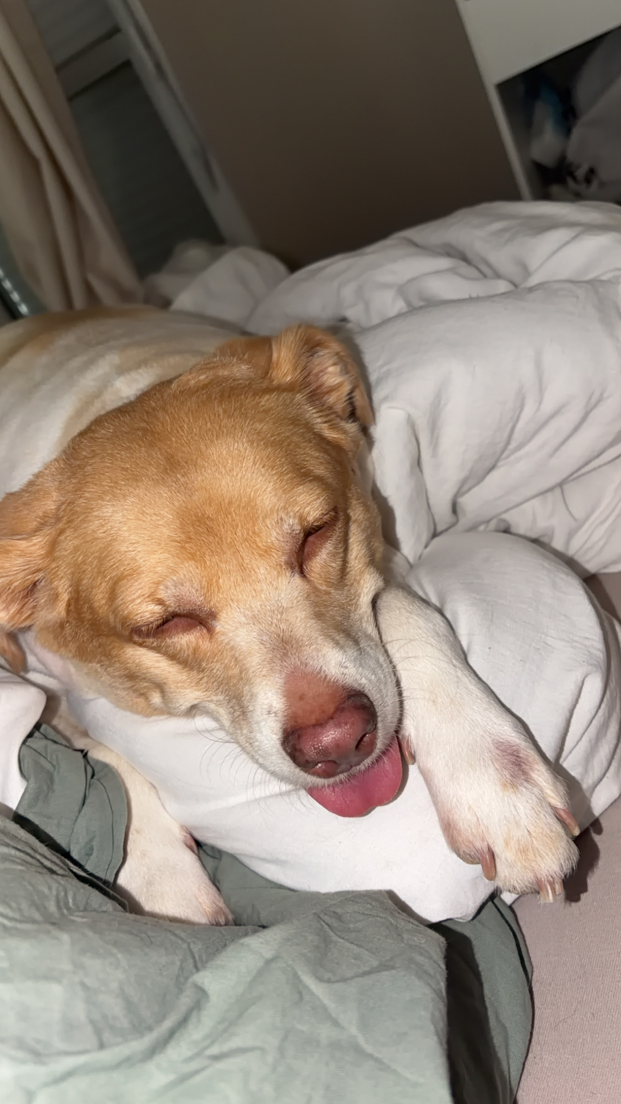 Nala